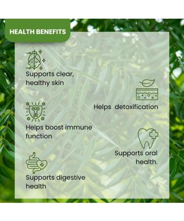 SETNUTRA Well From Within Pure Neem Leaf Extract 500Mg | Natural Detox Support Skin Health & Immune Support | Non GMO Gluten Free Vegan Capsules (120 Count) - Buy Online on GoSupps.com