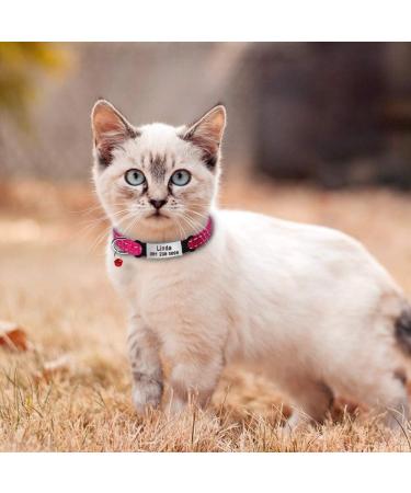 Didog Reflective Cat Collar with ID Shield - No Noise Sliding Engraving for Kittens & Small Dogs - Pink/Hot Pink XXS (14-20cm) - Buy Online on GoSupps.com