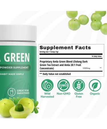 Amla Powder & Green Tea Superfood Supplement Antioxidant Support Made with Indian Gooseberries (90 servings) & Elderberry (30 servings) Organic Vegan - Buy Online on GoSupps.com