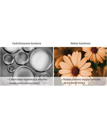 Schwarzkopf Gliss Total Repair Repairing Shampoo for Dry and Damaged Hair 400 ml - Buy Online on GoSupps.com