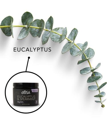 d SA Eucalyptus & Spearmint Body Butter Natural Moisturizer with Shea Butter Eucalyptus Extract & Spearmint Hydrating & Nourishing for Dry Skin Waterless Eco-Friendly 8 oz - Buy Online on GoSupps.com