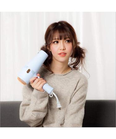 2200W Hair Dryer Professional Salon Hairdryer with Nozzle 3 Heat & 2 Speed Setting and Cool Shot Button DC Motor Ionic Conditioning to Protect Hair and Increase Shine Quick Storage Wire Button Blue - Buy Online on GoSupps.com