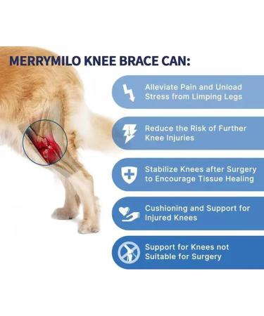 BESUFY Dog Thigh Protector Reduce Pain Inflammation Pet Knee Brace High Strength Pet Accessories Black M M Black - Buy Online on GoSupps.com