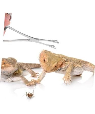 Happyyami Reptile Feeding Clip Reptile Supplies Feeding Tools Snake Tong Silver Stainless Steel - Buy Online on GoSupps.com