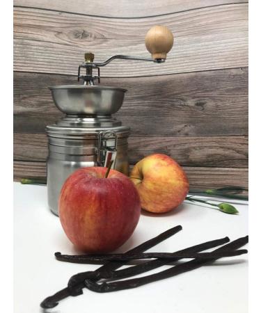 Premium Mexican Vanilla Beans - Superior Grade 12.0g | Gourmet Quality - Buy Online on GoSupps.com