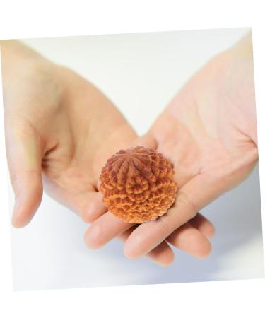 Beaupretty 4-Piece Wooden Massage Ball Set | Gymnastics & Hand Training Tools for Yoga & Leisure - Buy Online on GoSupps.com