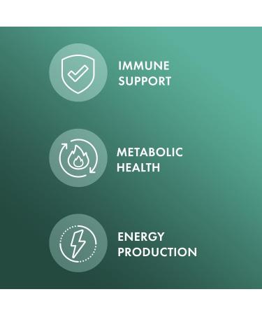 Dr. Mercola L-Lysine 90 Capsules 1500 mg L-Lysine Non-GMO Gluten Free Soy Free (Pack of 2) 90 Count (Pack of 2) - Buy Online on GoSupps.com