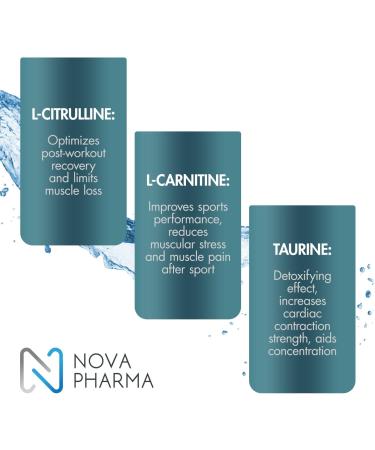 Nova Pharma Punch Out Pre Workout Powder L-Carnitine and Antioxidant-Rich Pre Workout Supplement Boost Stamina and Endurance for Gym Training and Workouts - 40 Servings (Dragon Fruit) - Buy Online on GoSupps.com