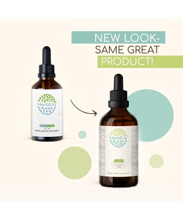 Uva-Ursi Alcohol-Free Herbal Extract Tincture - 2 fl oz Concentrated Liquid Drops for Natural Wellness - Buy Online on GoSupps.com