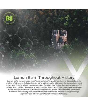 Nootropics Depot Lemon Balm Extract Tablets | 500mg | 120 Count | 10:1 Water Ethanol Extract - Buy Online on GoSupps.com
