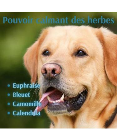 Green Idea - Eye Wash Lotion for Dogs with Boric Acid and Medicinal Herbs | Eye Care & Eye Cleansing | Paraben/Silicone/Colorant/Alcohol Free 50 ML - Buy Online on GoSupps.com