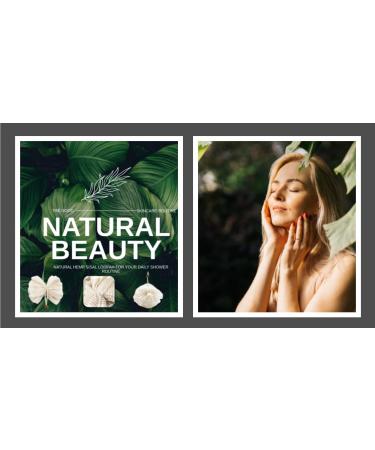 Buy Eco-Friendly Women's Spa Natural Loofah Set of 4 | Biodegradable Organic Exfoliator for Bath & Shower | Perfect for Travel - Buy Online on GoSupps.com