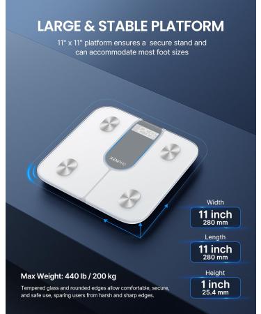 RENPHO Smart Scale for Body Weight 440lb Digital Bathroom Scale for Body Fat Bluetooth Accurate Body Composition Weighing Machine with App - White - Buy Online on GoSupps.com