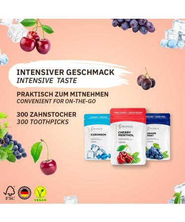 Wonder Toothpick - Fresh Breath Pack | Sugar-Free Flavored Toothpicks | Plastic-Free Chewing Gum for Smoking Cessation - Buy Online on GoSupps.com