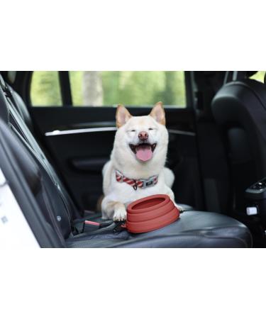 Ohmo Dog Travel Bowl - Large Portable Anti-Drool Foldable Pet Bowl for Road Trips | 700ml Erythrinus Design - Ideal Dog Travel Accessories - Buy Online on GoSupps.com