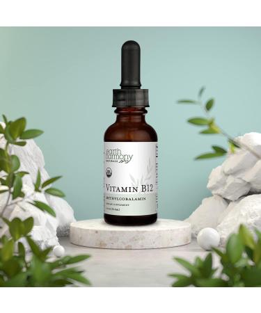 USDA Organic Vitamin B12 2000mcg Sublingual Liquid Supplement (2-Pack) - Vegan Methylcobalamin Drops - Natural Energy & Immune System Support - Buy Online on GoSupps.com