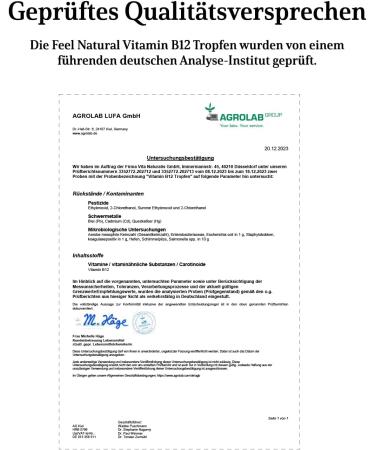 High-Dose Vegan Vitamin B12 - 50 ml (900 Drops) - 500 g/Drop - Methyl & Adenosylcobalamin - Lab-Tested Additive-Free Made in Germany - Buy Online on GoSupps.com