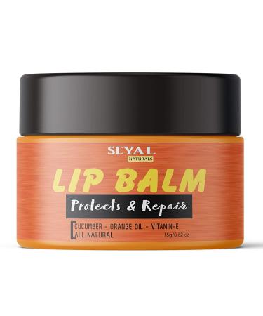 Seyal Lip Balm with Cucumber Orange Oil Vitamin E Beeswax & Cocoa Butter | All Natural Lip Balm | for Dry Cracked and Chapped Lips | Protects and Repair Lip Balm - 15g