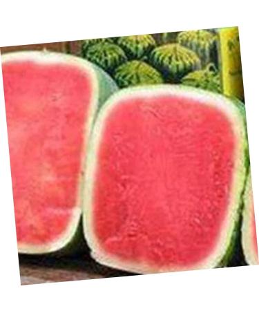 UKCOCO 2pcs Tool Vegetables Garden Shaping Molds Fruit Shaping Mould Pumpkin Ginseng Fruit Cucumber 15x15cmx2pcs Transparentx2pcs - Buy Online on GoSupps.com