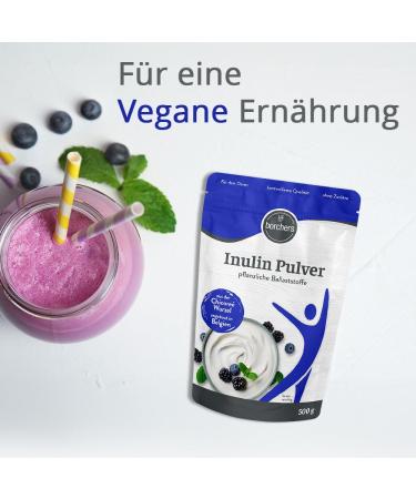 Borchers Inulin Powder - 500g | Vegan Vegetable Fiber | Enhance Digestive Health | Order Internationally - Buy Online on GoSupps.com