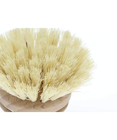 Fairy Original Wooden Dish Brush - Single | Eco-Friendly Cleaning Essential - Buy Online on GoSupps.com