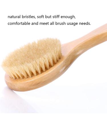 HiKin 12.6 Long Handle Dry Bath Body Brush with Natural Bristles Exfoliating, Blood Circulation, Detox - Anti-Slip Wooden Handle - Buy Online on GoSupps.com