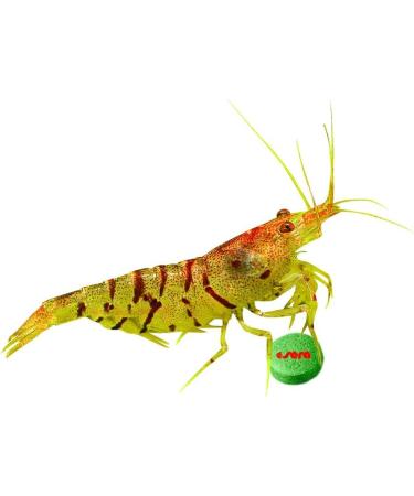 Sera Plankton Tabs Nature 1.3 kg - Premium Falling Feed Tablets with 7% Krill for Aquarium Fish Color Development - International Shipping Available - Buy Online on GoSupps.com