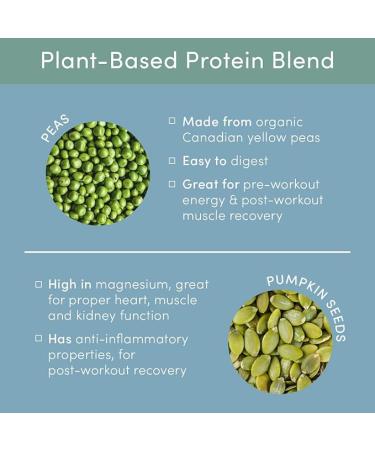 Tone It Up Plant Based Protein Powder for Women - Chocolate - 14.82 Oz. - Buy Online on GoSupps.com