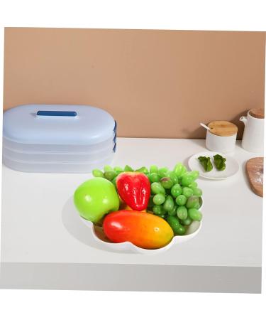 Alipis 2pcs Snack Dish Dried Fruit Tray Reusable Snack Tray Household Fruit Tray Thicken Melon Seed Plate - Buy Online on GoSupps.com