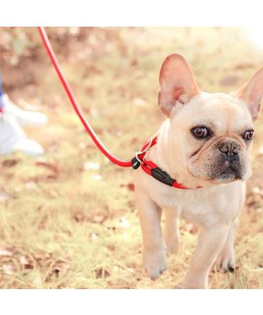 1Pc Nylon Dog Training Rope Slip Lead Dog Leash Durable Dog Traction Rope Durable Dog Traction Rope Suitable for Small Medium Dogs (Red) - Buy Online on GoSupps.com