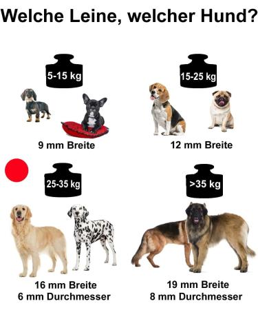Bio-Line 12mm Biothane Dog Leash 3.0m - Water-Repellent No Hand Loop Perfect for Small & Large Dogs - Black - Buy Online on GoSupps.com
