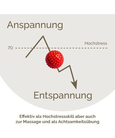 2x DBT Skills Hedgehog Ball - Magnetic Acupressure Stress Relief & Massage Tool (Red Matt 32mm) - Enhance Mobility & Concentration - Buy Online on GoSupps.com