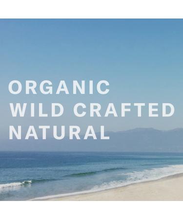 Organic Glow Medium Tanning Cream | Clean Non-Toxic Sunless Tanning for Face & Body - Chocolate Sun 8 oz - Buy Online on GoSupps.com