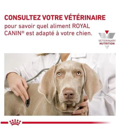 Royal Canin Veterinary Diet Dog Food Cardiac Adult 2 Kg - Buy Online on GoSupps.com