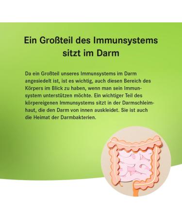 Pascoflorin Immune: 20 Probiotic Cultures with Vitamin B12 Biotin Inulin & Folic Acid for Enhanced Health - Ideal for Antibiotic Therapy Support - Buy Online on GoSupps.com