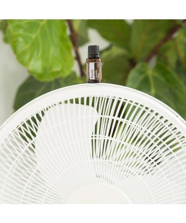 doTERRA Purify Essential Oil Cleansing Blend - 15 ml Purify 0.5 Fl Oz (Pack of 1) - Buy Online on GoSupps.com