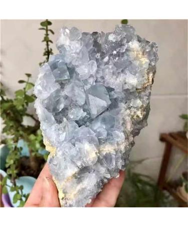 1pc Large Size Natural Raw Blue Celestite Geode Rough Stone Quartz Crystal Cluster 1300g-1800g for Decoration Suitable for Furniture Decoration (Size : 1PC1300g-1400g) - Buy Online on GoSupps.com