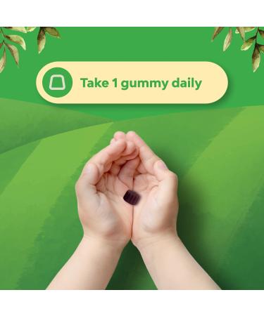 Bundle of Kids DHA Omega 3 Gummies - Fish Free with Vegetarian 6 9 for Vision Brain & Immunity and Sambucus Elderberry Gummies for Kids - Black Elderberry with Zinc & Vitamin C for Immune Support - Buy Online on GoSupps.com