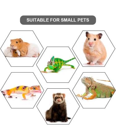 3PCS Adjustable Reptile Leather Harness Set with Cool Wings for Bearded Dragon & Small Pets - Buy Online on GoSupps.com