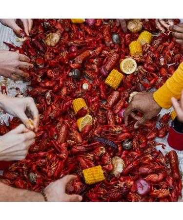 Louisiana Fish Fry Smashed Garlic Boil Booster 8 oz - Authentic Cajun Seasoning for Seafood - 1 Count - Buy Online on GoSupps.com