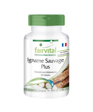 Fairvital | Wild Yams and more - box of 3 months - VEGAN - Highly dosed - 90 capsules -yam root with vitamins zinc and selenium