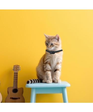 Cat Collar Camera For Pet - Hd 1080P Wireless Cameras & Monitors | Mini Pet Camera For Video Records Portable Stable Sport Action Body Camera For Cats Dogs Outdoor/Indoor Puppy Supplies Birthday Gift Black - Buy Online on GoSupps.com