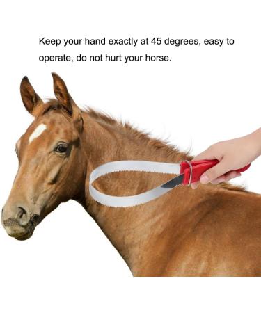 Horse Shedder Scraper Stainless Steel Horse Sweat Scraper Horse Grooming Brushes Combs Single Metal Shedding Blade - Buy Online on GoSupps.com