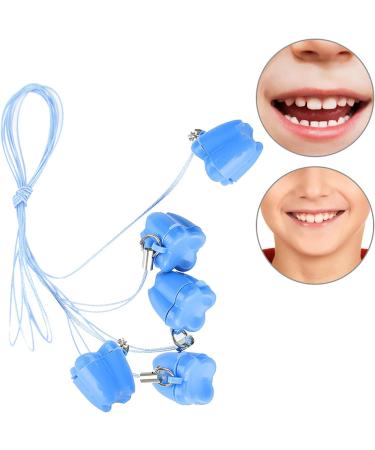 Ververt Touch DNA Collection Box for Babies | Milk Tooth Storage & Organizer | 5-Piece Blue Plastic Set - Buy Online on GoSupps.com
