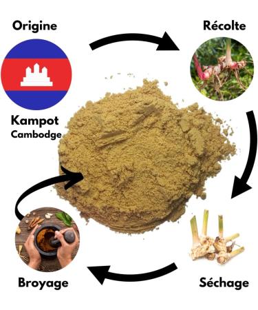 THE SPICED WAY -Galanga Powder -100g- Exotic Spice - Enhance Your Asian Dishes - Buy Online on GoSupps.com