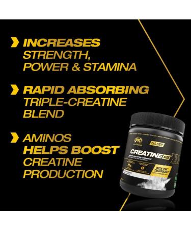 PVL Creatine X8 - Advanced Creatine Monohydrate Powder - Amino Acid Boosted Creatine Powder - Workout Supplement - Zero Sugars or Fillers -249 g - 30 Serving - Buy Online on GoSupps.com
