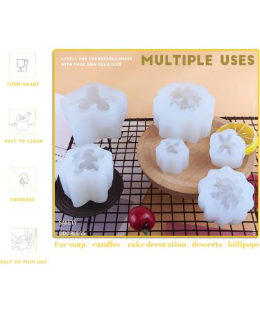Timisea 6 Pack Succulent Silicone Mold for DIY Cactus Flower Resin Crafts - Buy Online on GoSupps.com