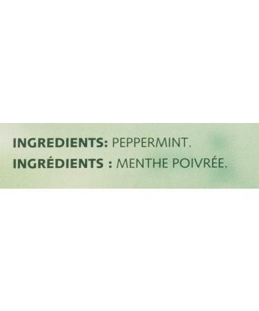 Twinings Pure Peppermint Herbal Revive Individually Wrapped Tea Bags | Naturally Caffeine-Free | 20 Count (Pack of 6) | Enjoy Hot or Iced Peppermint 20 Count (Pack of 6) - Buy Online on GoSupps.com