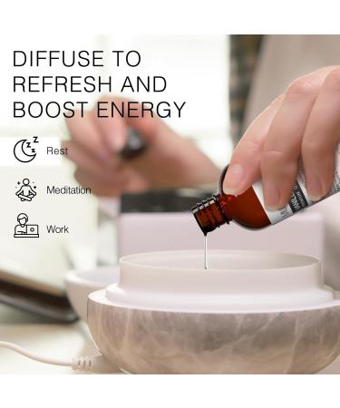 MUNUSNA Peppermint Essential Oil and Vanilla Essential Oil Premium Grade Pure & Natural Essential Oils for Hair Body Skin Aromatherapy Diffuser Meditation Massage Home Candle Soap Bath Bombs - Buy Online on GoSupps.com