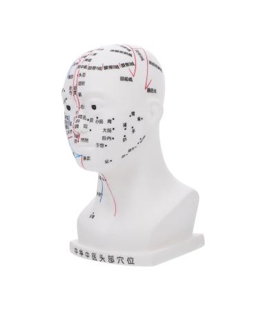 Minkissy acupuncture point model hospital hospital laboratory supplies realistic models head massage model massage model for the human head medical scalp pin model head pvc white white 22x12x8cm